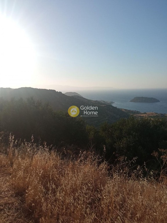 Οικόπεδο 4.200 τ.μ. προς πώληση, Ν. Λασιθίου, Σητεία