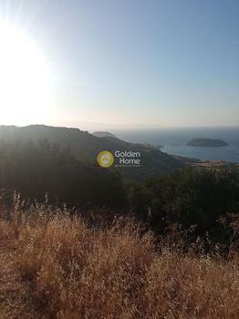 Land plot 4.200sqm for sale-Siteia » Sfaka