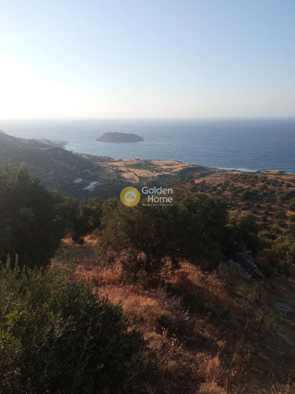 Οικόπεδο 4.200 τ.μ. προς πώληση, Ν. Λασιθίου, Σητεία
