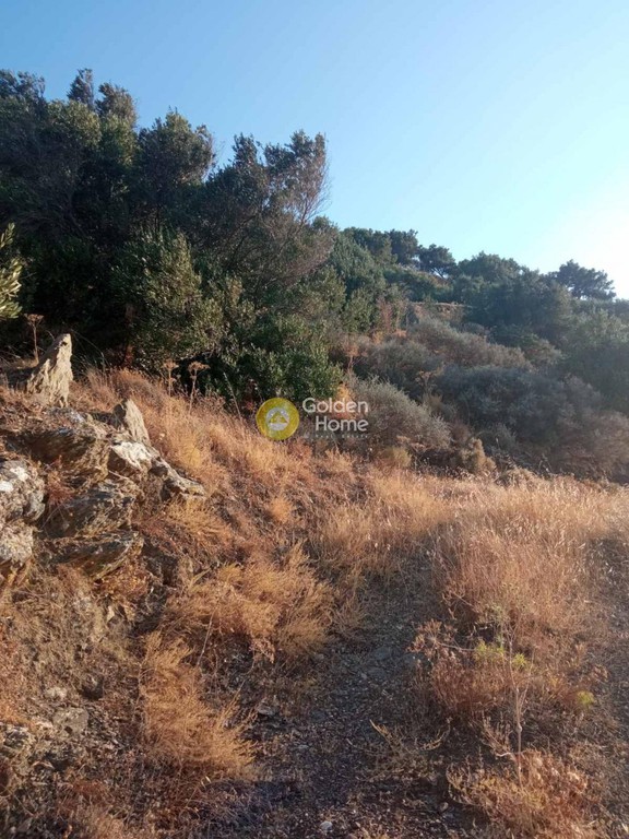 Οικόπεδο 4.200 τ.μ. προς πώληση, Ν. Λασιθίου, Σητεία