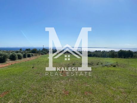 Land plot 5.000sqm for sale-Sithonia » Nikiti