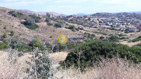 Parcel 48.000sqm for sale-Kalivia Thorikou » Lagonisi