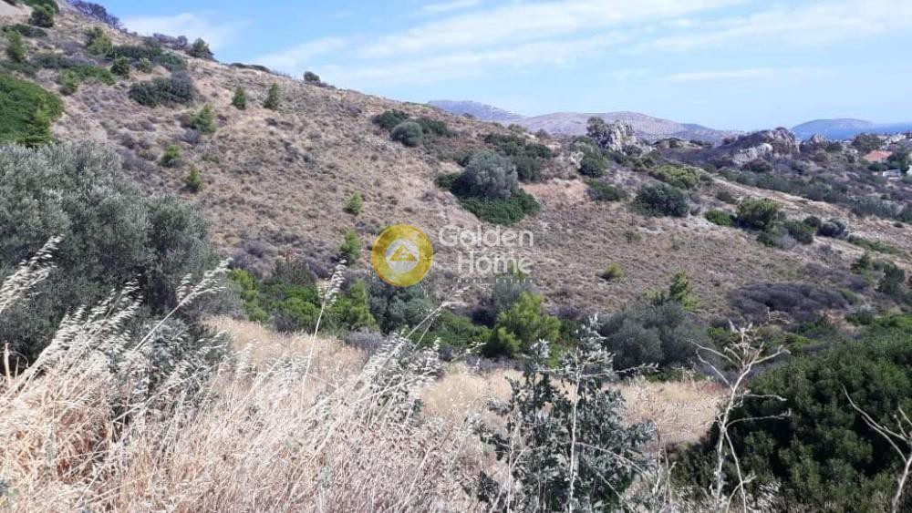 Αγροτεμάχια 48.000 τ.μ. προς πώληση, Λαγονήσι