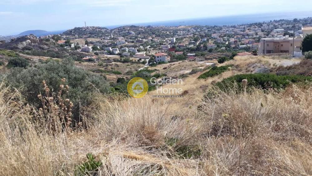 Αγροτεμάχια 48.000 τ.μ. προς πώληση, Λαγονήσι