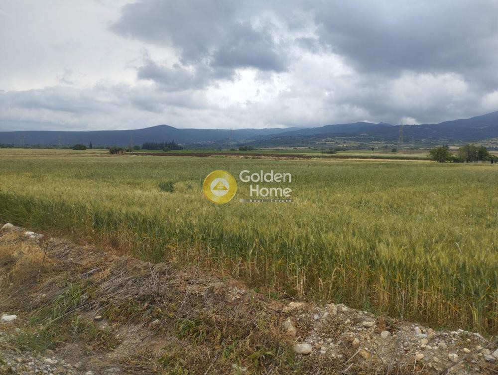 Οικόπεδο 34.700 τ.μ. προς πώληση, Φθιώτιδας, Τιθορέα