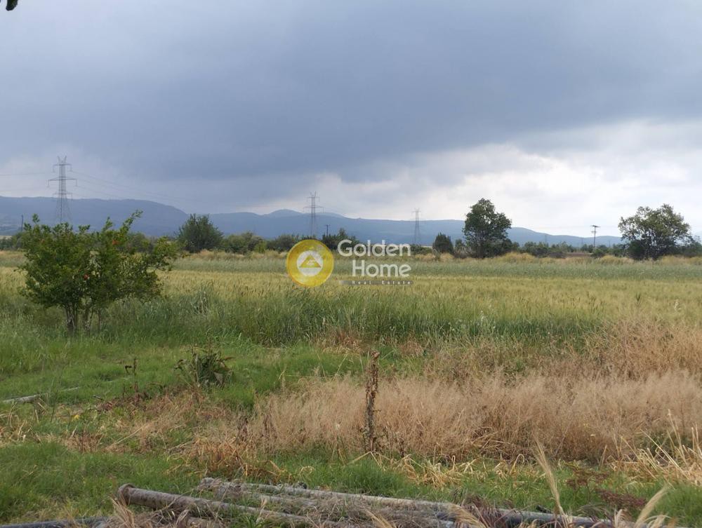 Οικόπεδο 34.700 τ.μ. προς πώληση, Φθιώτιδας, Τιθορέα