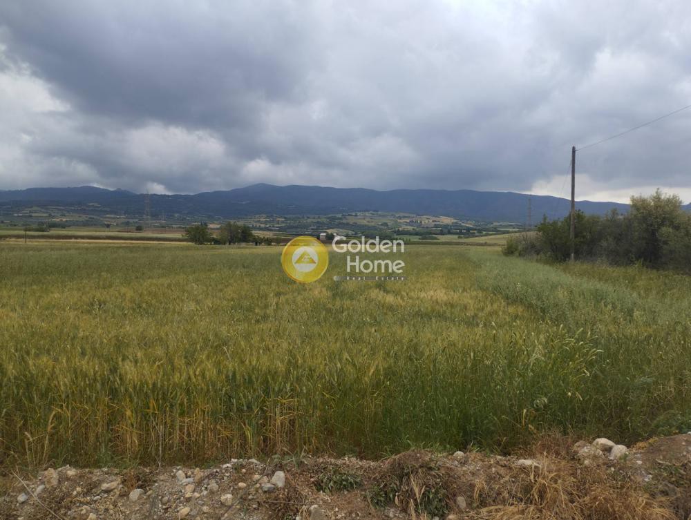 Οικόπεδο 34.700 τ.μ. προς πώληση, Φθιώτιδας, Τιθορέα