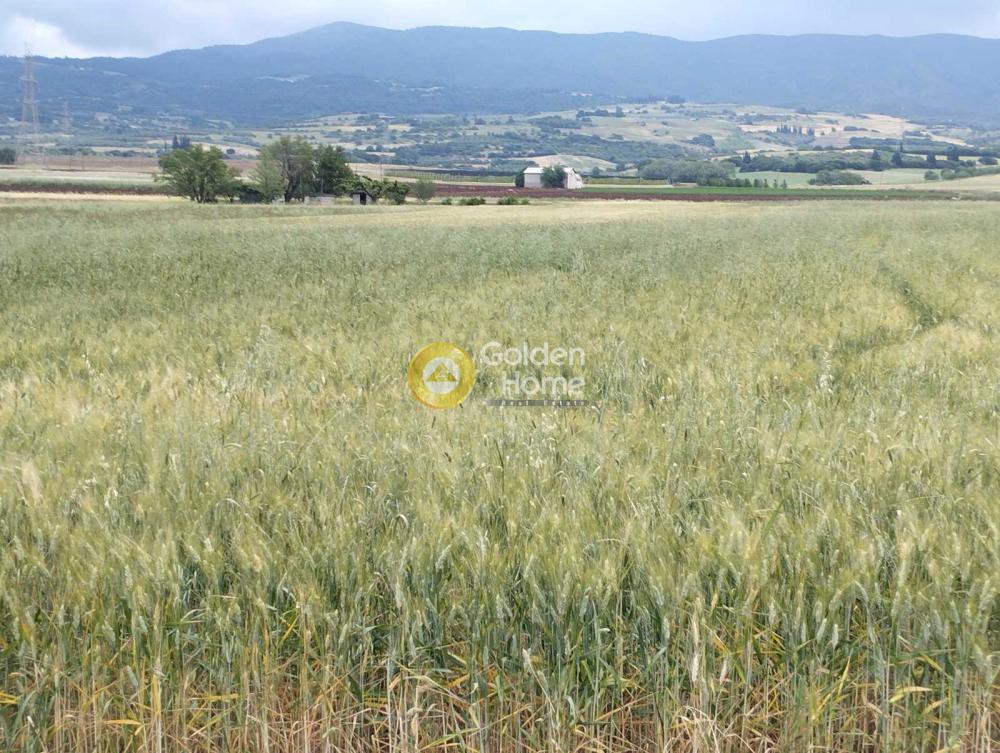 Οικόπεδο 34.700 τ.μ. προς πώληση, Φθιώτιδας, Τιθορέα