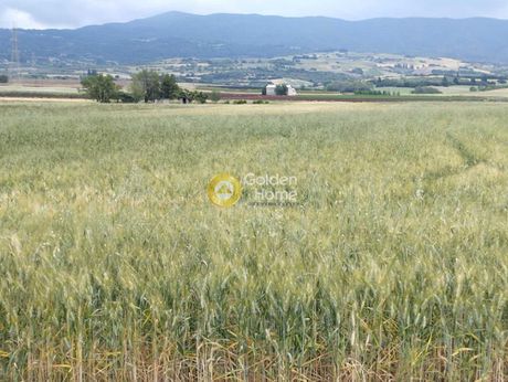 Οικόπεδο 34.700τ.μ. για πώληση-Τιθορέα » Κάτω τιθορέα