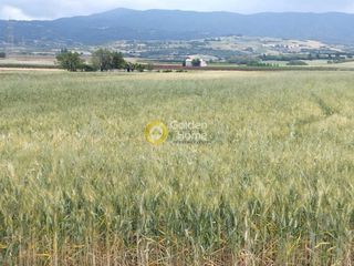 Οικόπεδο 34.700 τ.μ. για πώληση