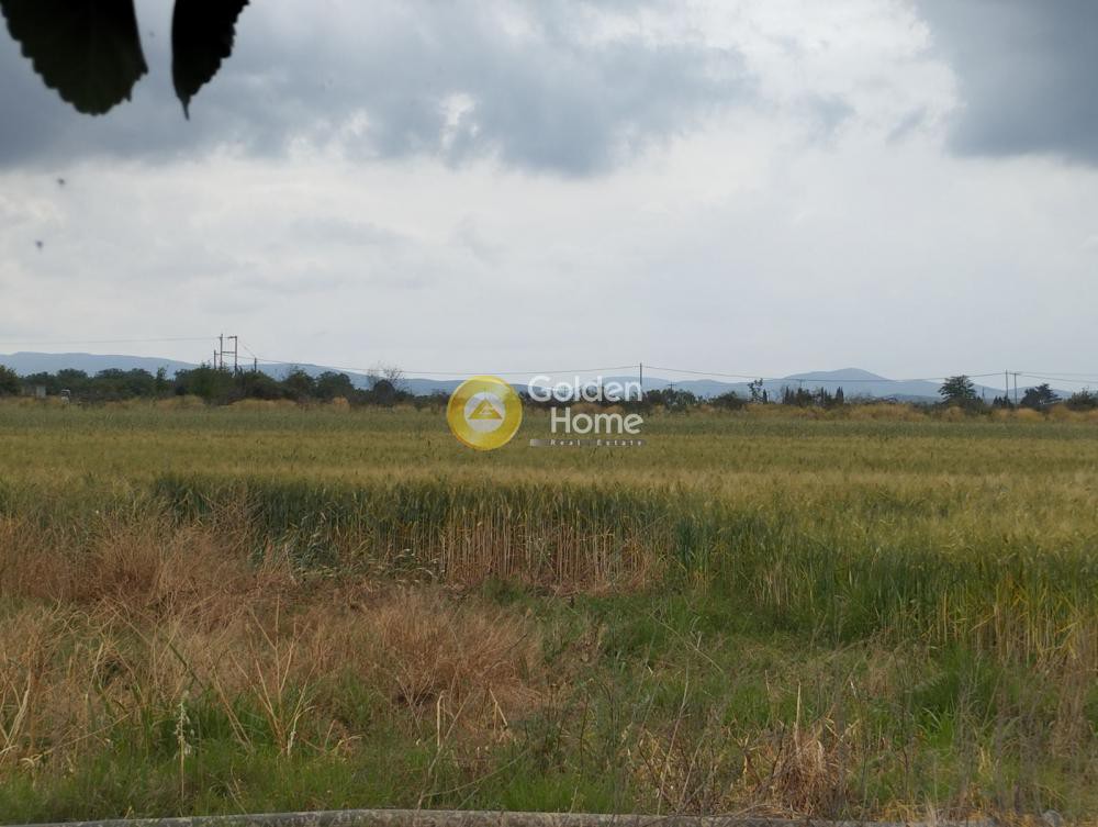 Οικόπεδο 34.700 τ.μ. προς πώληση, Φθιώτιδας, Τιθορέα