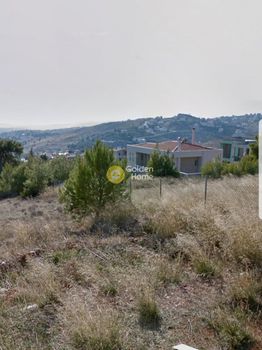 Οικόπεδο 500τ.μ. για πώληση-Πικέρμι » Διώνη