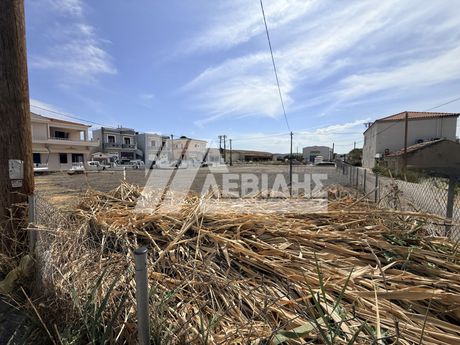 Οικόπεδο 1.600 τ.μ. προς πώληση
