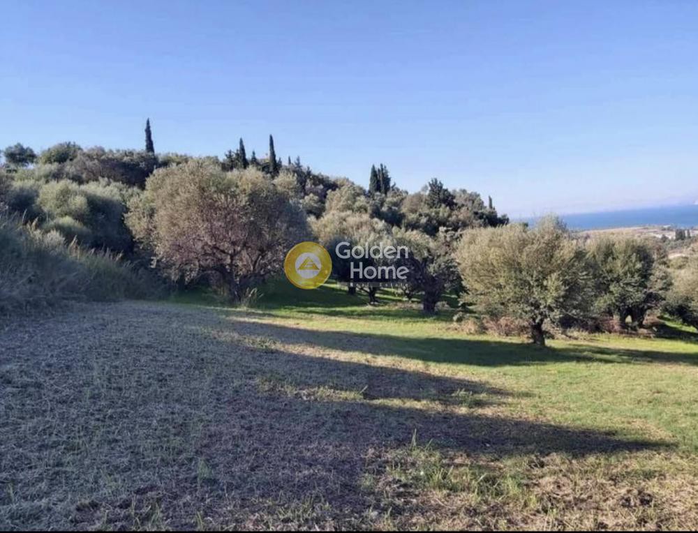 Οικόπεδο 10.500 τ.μ. προς πώληση, Αχαΐα, Πάτρα
