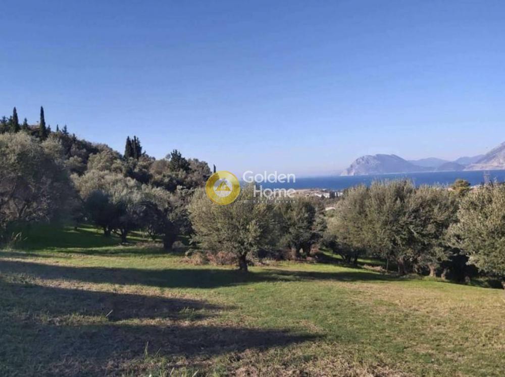 Οικόπεδο 10.500 τ.μ. προς πώληση, Αχαΐα, Πάτρα