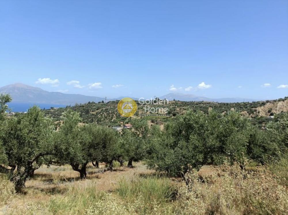 Οικόπεδο 10.500 τ.μ. προς πώληση, Αχαΐα, Πάτρα