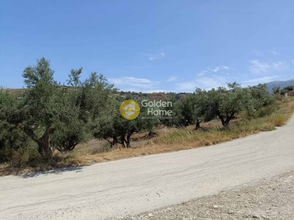 Οικόπεδο 10.500 τ.μ. προς πώληση, Αχαΐα, Πάτρα
