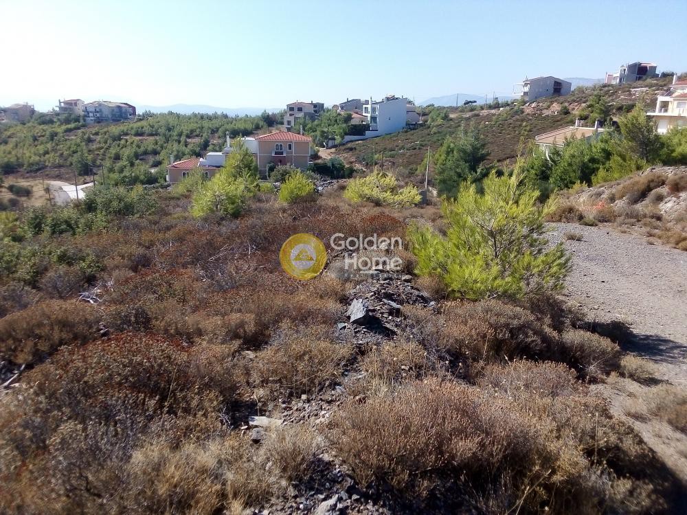 Οικόπεδο 504 τ.μ. προς πώληση, Αττική - Υπόλοιπο, Πικέρμι