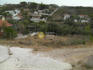 Αγροτεμάχια 290 τ.μ. για πώληση