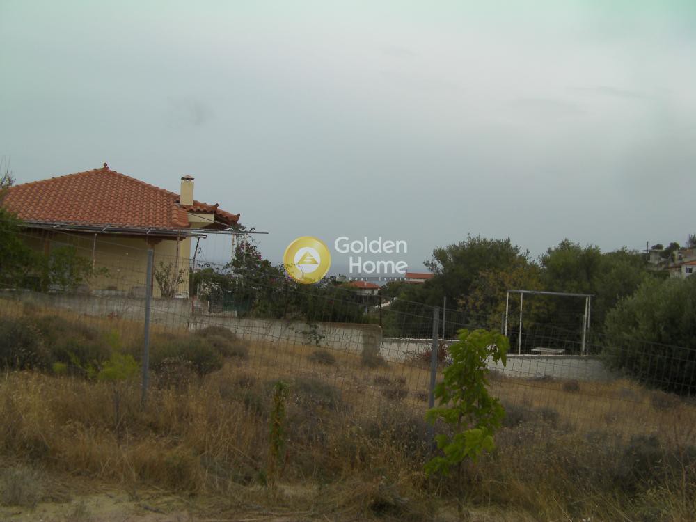 Αγροτεμάχια 290 τ.μ. προς πώληση, Αττική - Υπόλοιπο, Κερατέα
