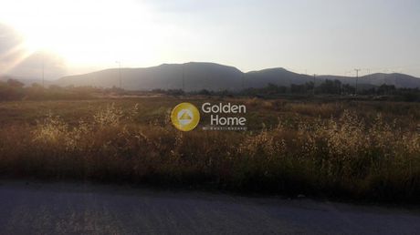 Αγροτεμάχια 75.000τ.μ. για πώληση-Μαραθώνας » Σχινιάς