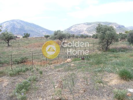 Parcel 12.011sqm for sale-Paiania » Oulintzi
