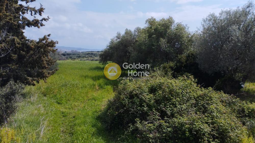 Οικόπεδο 13.000 τ.μ. προς πώληση, Ν. Πρέβεζας, Ζάλογγο