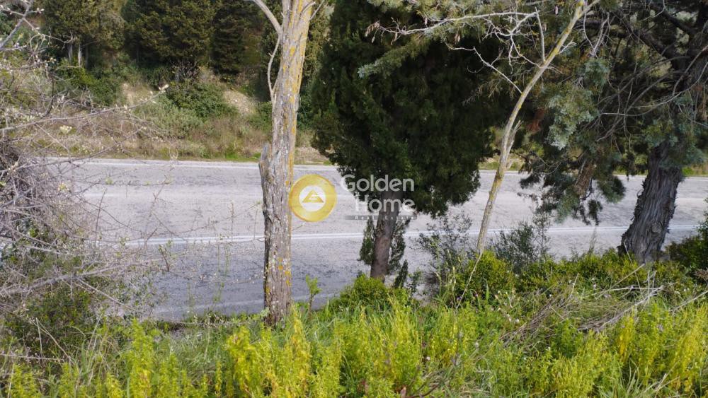 Οικόπεδο 13.000 τ.μ. προς πώληση, Ν. Πρέβεζας, Ζάλογγο