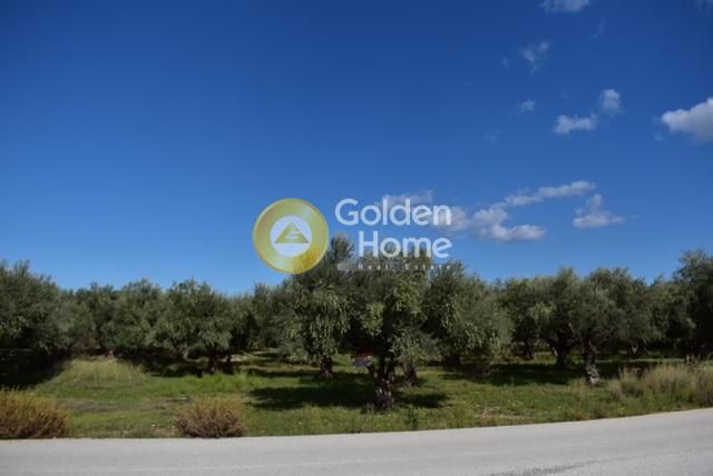 Parcel 4.448 sqm for sale, Achaia, Diakopto