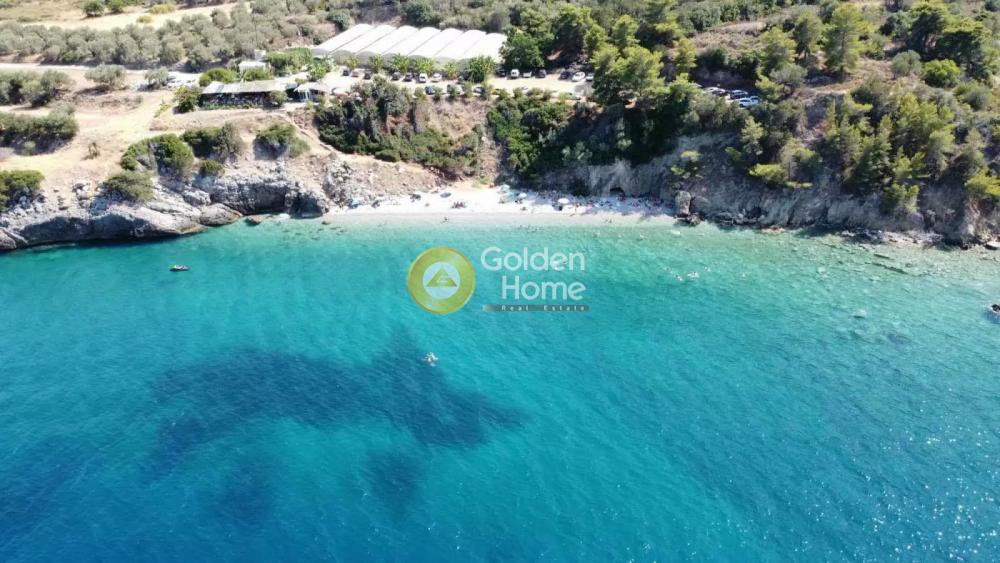Οικόπεδο 1.557 τ.μ. προς πώληση, Νησιά Αργοσαρωνικού, Τροιζήνα