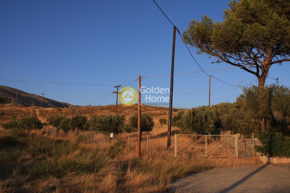 Οικόπεδο 4.000 τ.μ. προς πώληση, Εύβοια, Κάρυστος