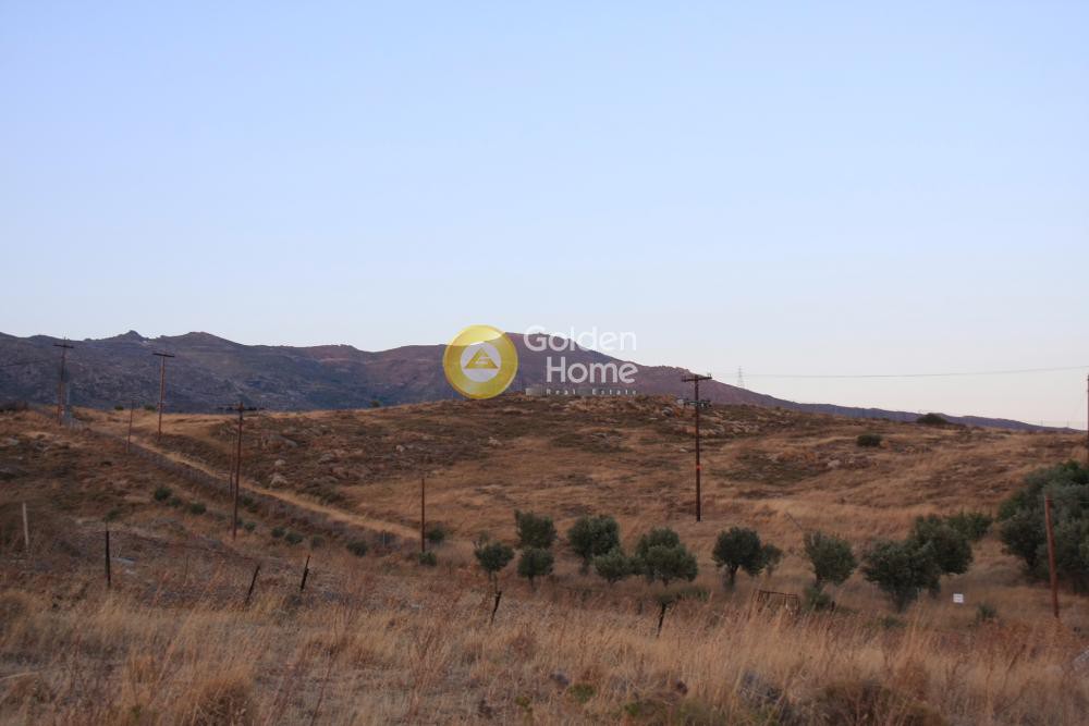 Οικόπεδο 4.000 τ.μ. προς πώληση, Εύβοια, Κάρυστος