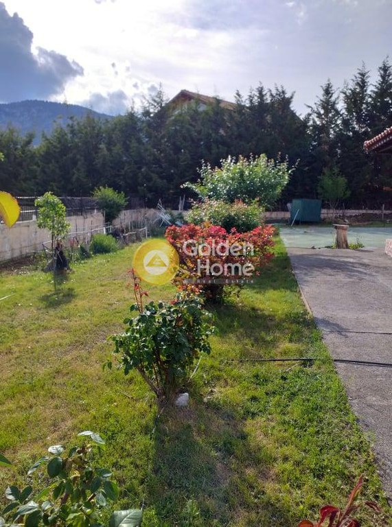 Μονοκατοικία 55 τ.μ. πρός πώληση, Βοιωτία, Αράχοβα