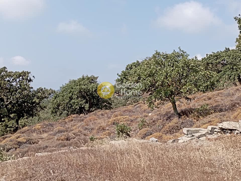 Οικόπεδο 4.500 τ.μ. προς πώληση, Κυκλάδες, Κέα