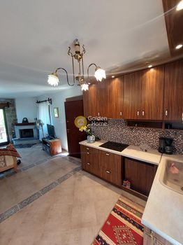 Maisonette 150sqm for sale-Parnassos » Polidrosos