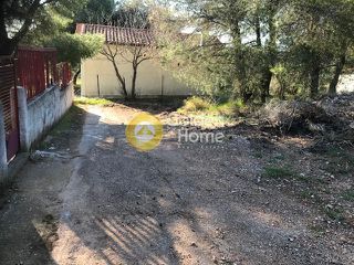 Αγροτεμάχια 1.574 τ.μ. για πώληση