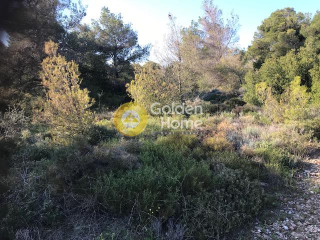 Αγροτεμάχια 1.574 τ.μ. προς πώληση, Αθήνα - Βόρεια Προάστια, Μαρούσι