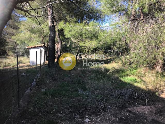 Αγροτεμάχια 1.574 τ.μ. προς πώληση, Αθήνα - Βόρεια Προάστια, Μαρούσι