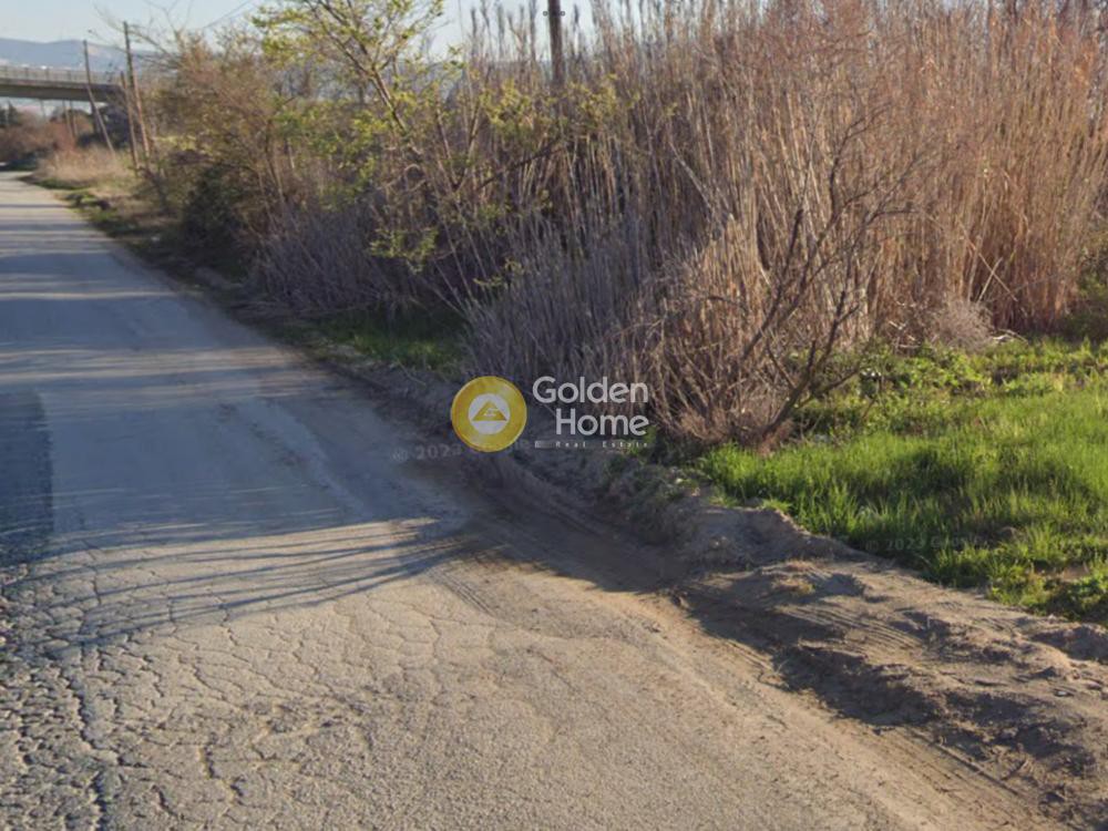 Αγροτεμάχια 6.064 τ.μ. προς πώληση, Θεσσαλονίκη - Περιφ/Κοί Δήμοι, Θέρμη