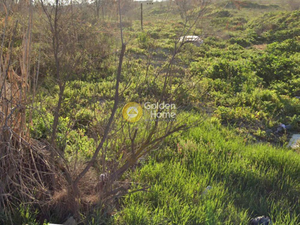 Αγροτεμάχια 6.064 τ.μ. προς πώληση, Θεσσαλονίκη - Περιφ/Κοί Δήμοι, Θέρμη