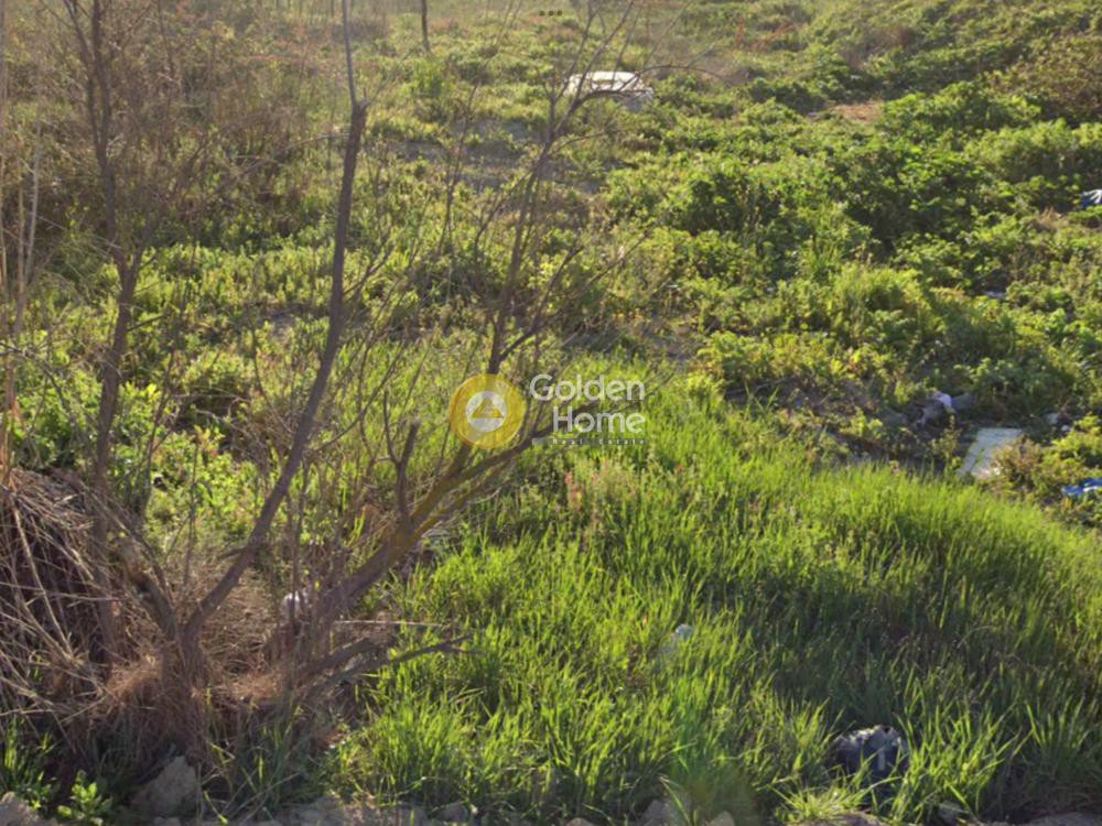 Αγροτεμάχια 6.064 τ.μ. προς πώληση, Θεσσαλονίκη - Περιφ/Κοί Δήμοι, Θέρμη