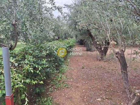 Οικόπεδο 651τ.μ. για πώληση-Μαρούσι » Όριο βριλησσίων
