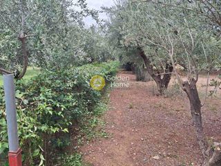 Οικόπεδο 651 τ.μ. προς πώληση