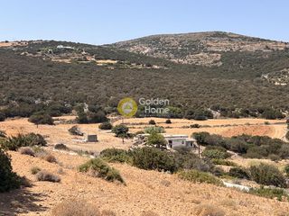 Αγροτεμάχια 12.238 τ.μ. για πώληση