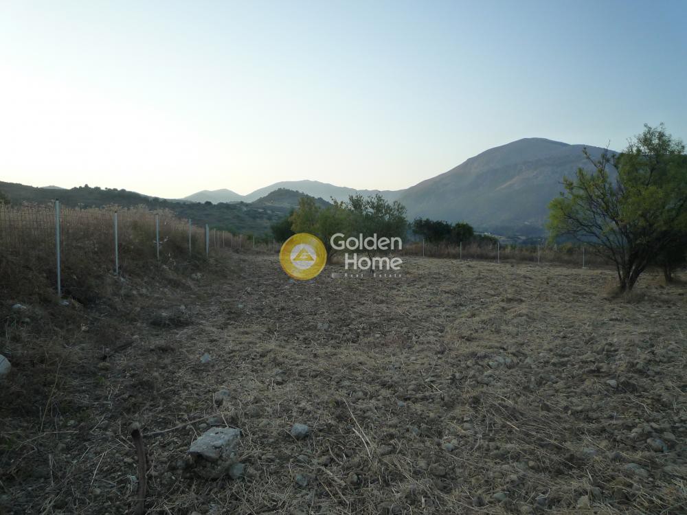 Οικόπεδο 9.320 τ.μ. προς πώληση, Ν. Κεφαλονιάς, Κεφαλονιά