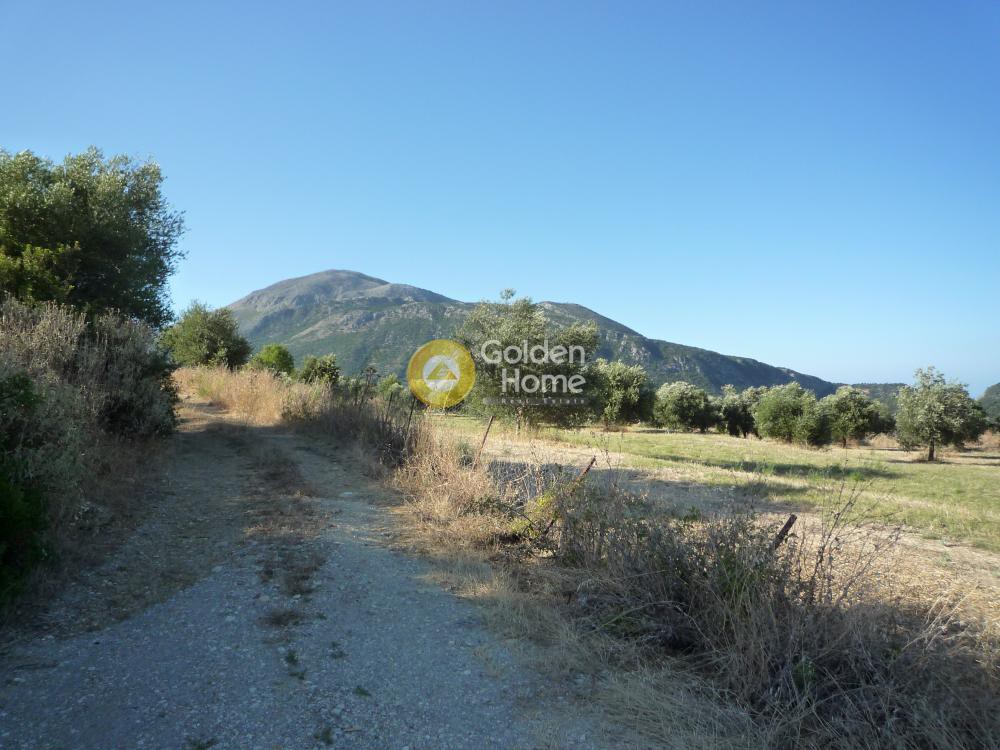 Οικόπεδο 9.320 τ.μ. προς πώληση, Ν. Κεφαλονιάς, Κεφαλονιά