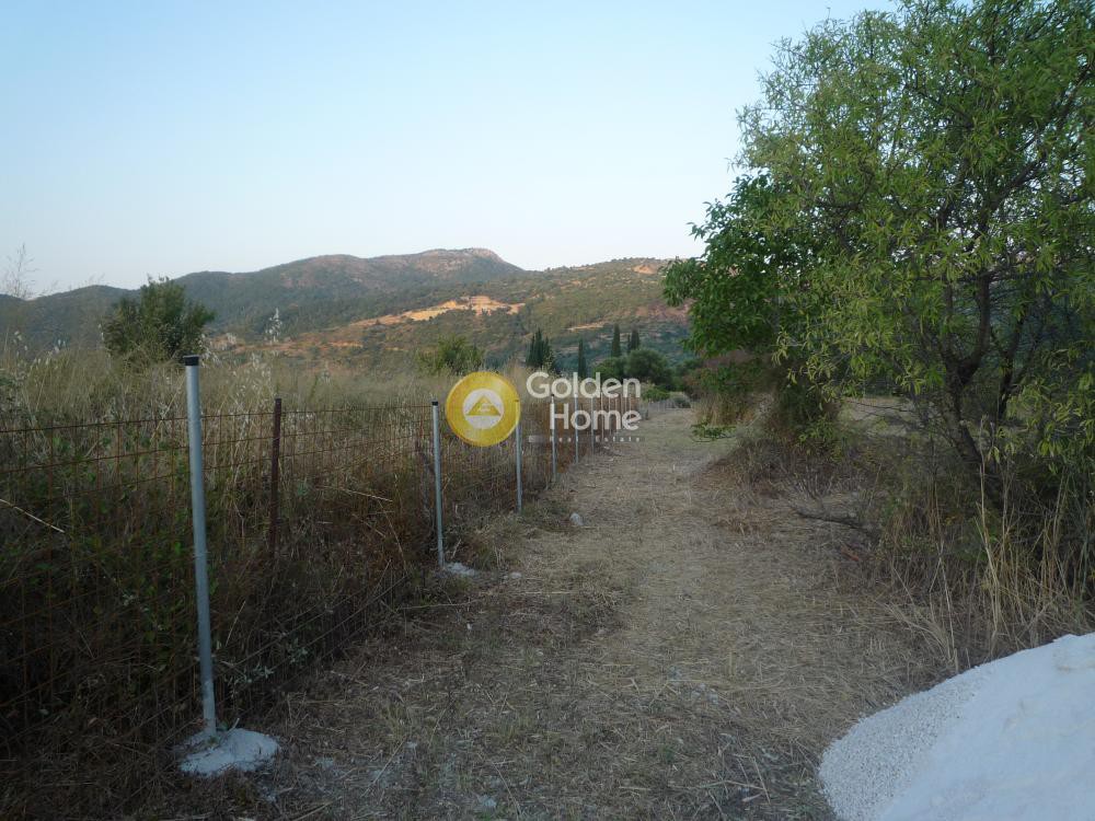 Οικόπεδο 9.320 τ.μ. προς πώληση, Ν. Κεφαλονιάς, Κεφαλονιά