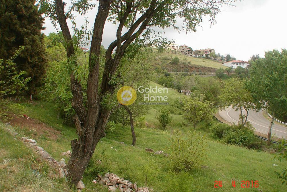 Οικόπεδο 1.765 τ.μ. προς πώληση, Βοιωτία, Αράχοβα