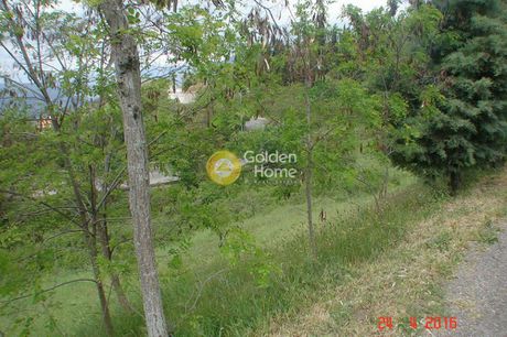 Land plot 1.765sqm for sale-Arachova » Arachova