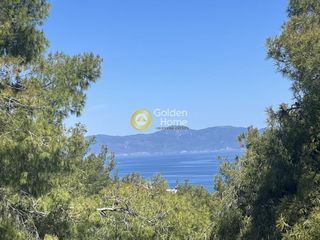Μονοκατοικία 450 τ.μ. για πώληση